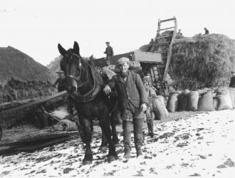 stonham history4
